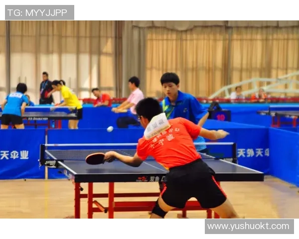 深圳乒乓球队技术分析与发展策略探讨聚焦乒乓球运动的未来趋势与挑战